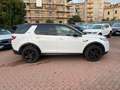 Land Rover Discovery Sport S 2.0d i4 MILD HYBRID AWD-Iva Deducubile-UNIPROP Bianco - thumbnail 4