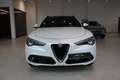 Alfa Romeo Stelvio Super Q4 **Ausstattungshammer** Weiß - thumbnail 2