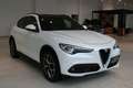 Alfa Romeo Stelvio Super Q4 **Ausstattungshammer** Weiß - thumbnail 1