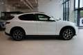 Alfa Romeo Stelvio Super Q4 **Ausstattungshammer** Weiß - thumbnail 4