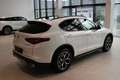 Alfa Romeo Stelvio Super Q4 **Ausstattungshammer** Weiß - thumbnail 5