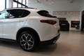Alfa Romeo Stelvio Super Q4 **Ausstattungshammer** Weiß - thumbnail 7