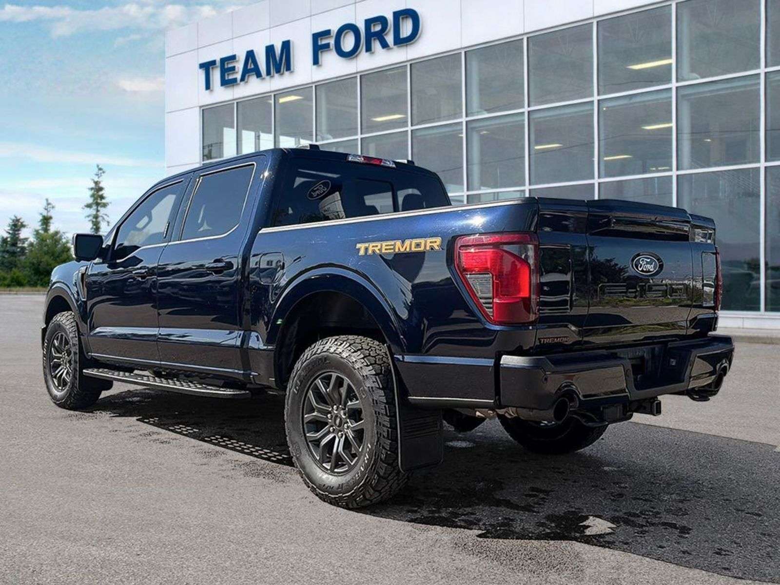2026 Ford F-150 TREMOR, 3.5L V-6ENG, POWER TAILGATE LOCK, REAR WIN — снимка 1