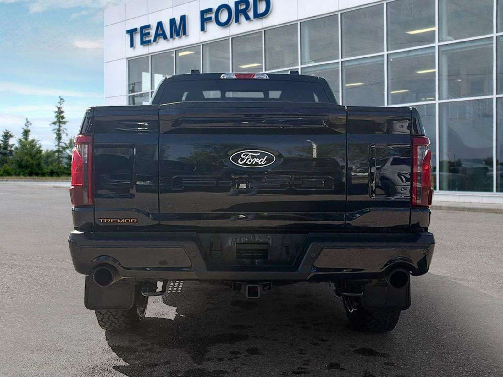 2026 Ford F-150 TREMOR, 3.5L V-6ENG, POWER TAILGATE LOCK, REAR WIN — снимка 1