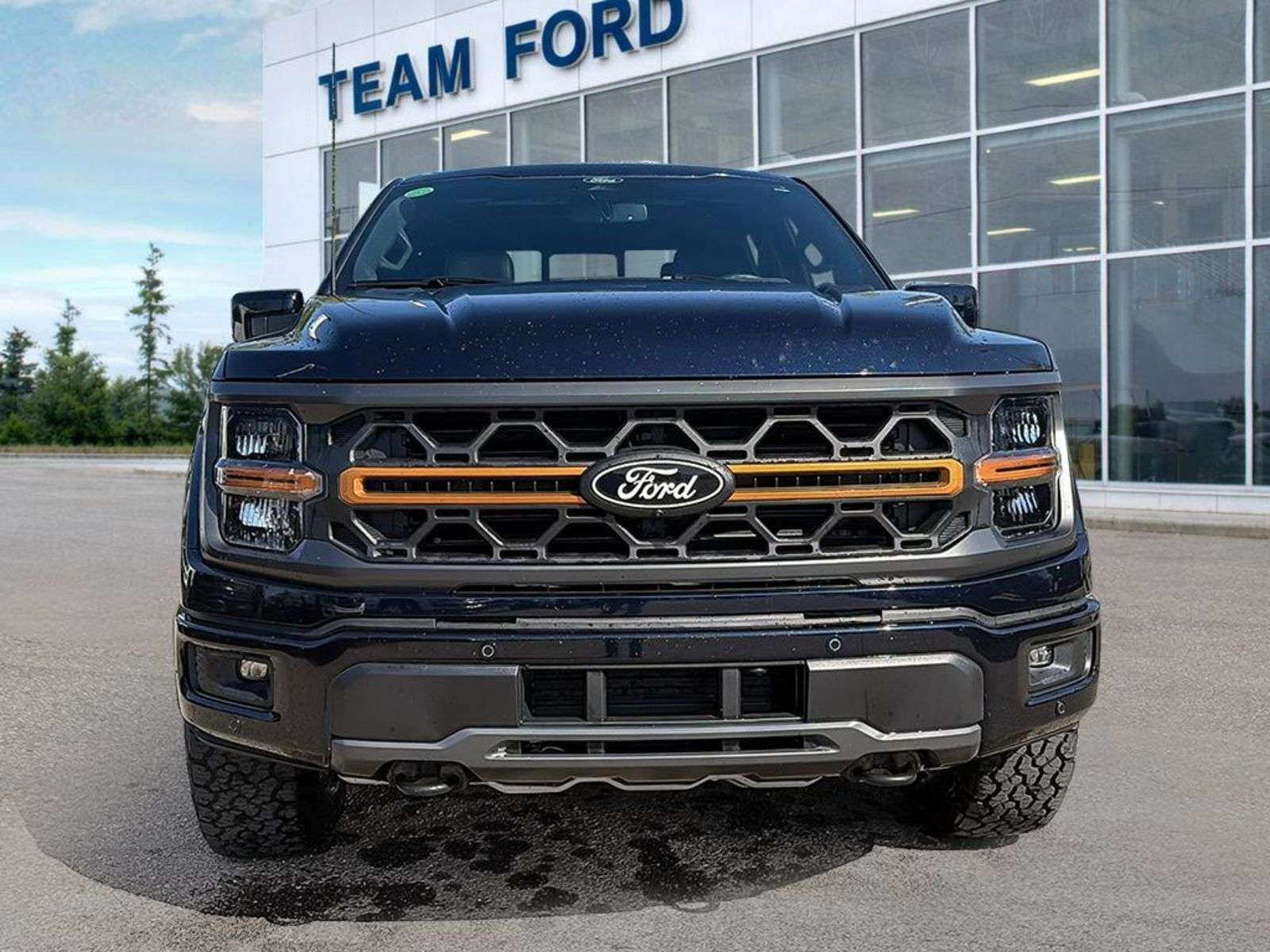 2026 Ford F-150 TREMOR, 3.5L V-6ENG, POWER TAILGATE LOCK, REAR WIN — снимка 1