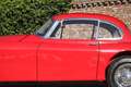 Jaguar XK XK150 FHC 3.4 Litre Bodywork and mechanics extensi Rouge - thumbnail 24