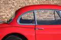 Jaguar XK XK150 FHC 3.4 Litre Bodywork and mechanics extensi Rouge - thumbnail 44