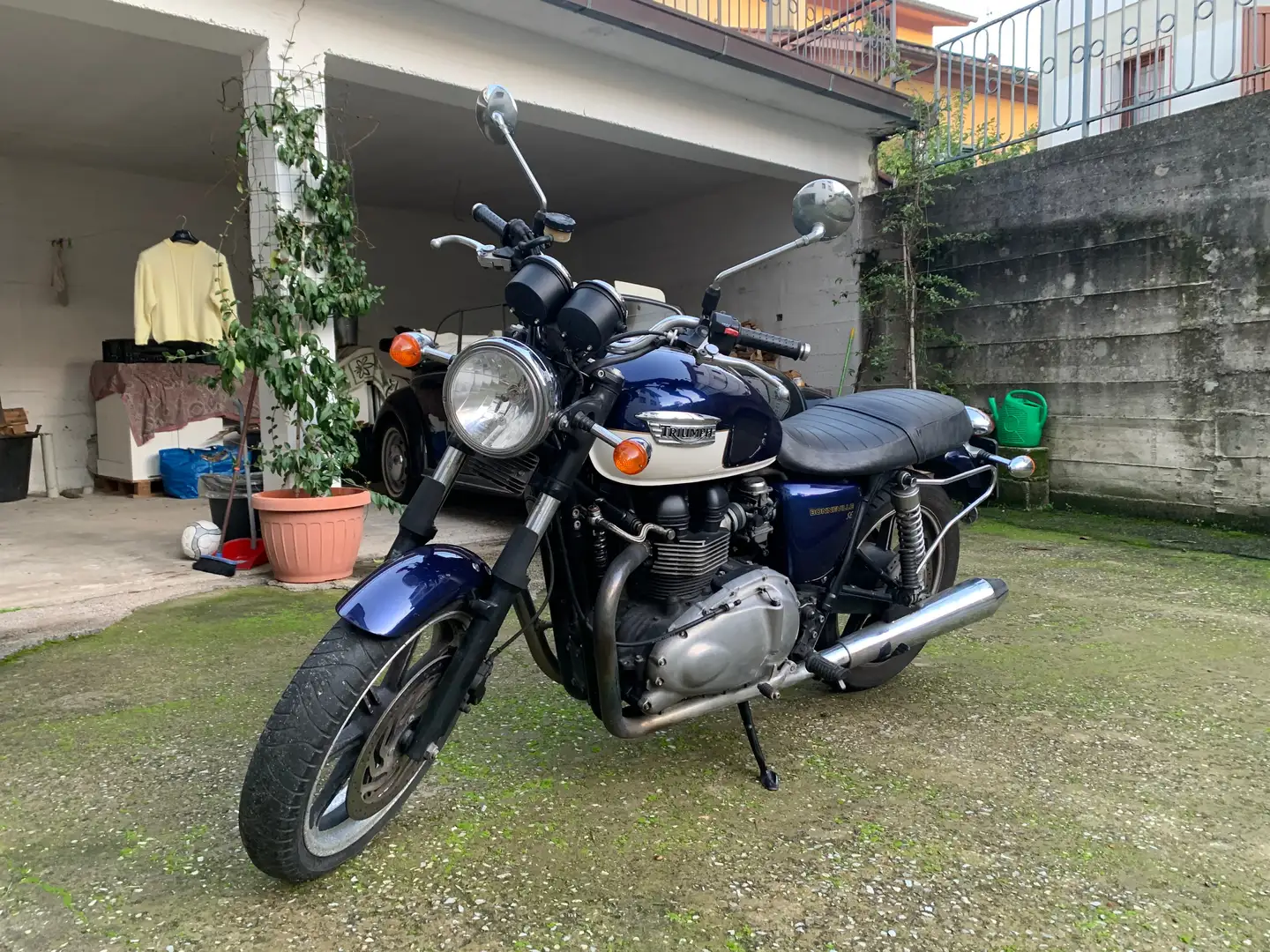 Triumph Bonneville SE 850 cc Blu/Azzurro - 1