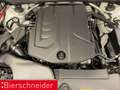 Audi A5 TFSI S-Line AHK LED CAM ACC 19 Weiß - thumbnail 17
