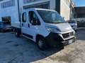 Fiat Ducato CASSONATO DOPPIA CABINA Bianco - thumbnail 3