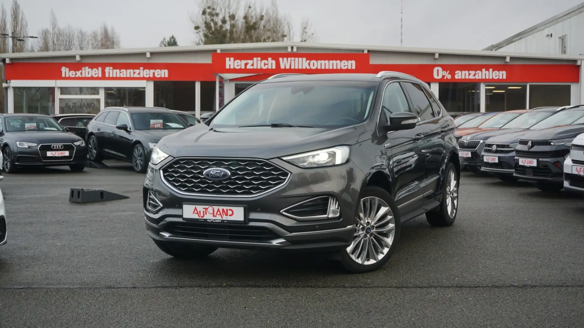 Ford Edge 2.0 EcoBlue Vignale 4x4 AWD LED ACC Navi siva - 2