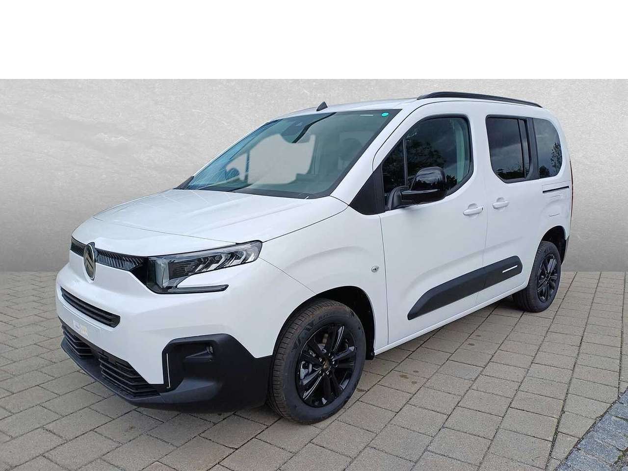 Citroen-Berlingo-MPV 110 Plus