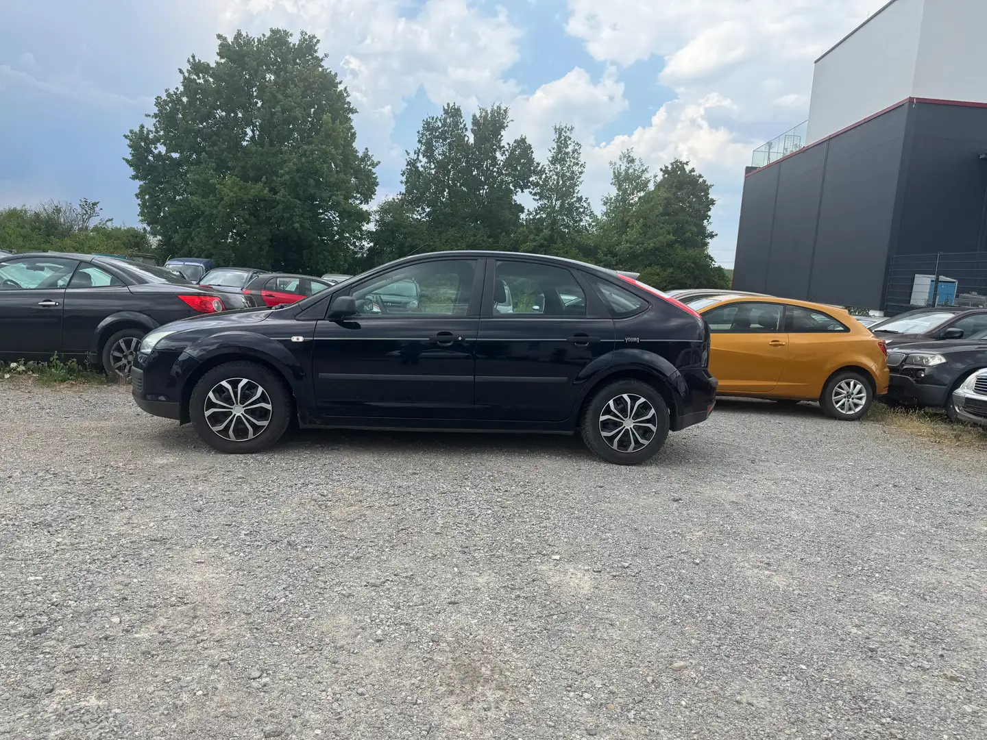 Ford Focus Trend Bleu - 2