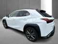 Lexus UX 250h F SPORT Design Zwart - thumbnail 6