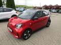 smart forFour electric drive EQ Passion ALU KLIMA FALTDACH SHZ Rot - thumbnail 2