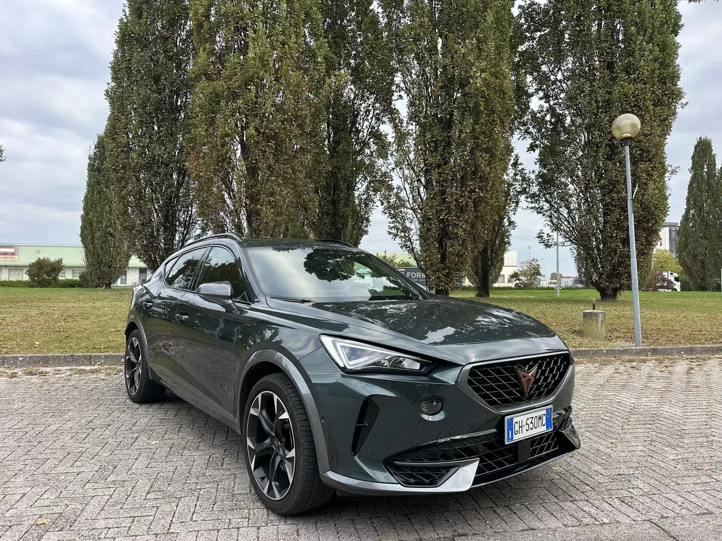 CUPRA Formentor 2.0 TSI 4DRIVE TETTO PANORAMICO Verde - 2