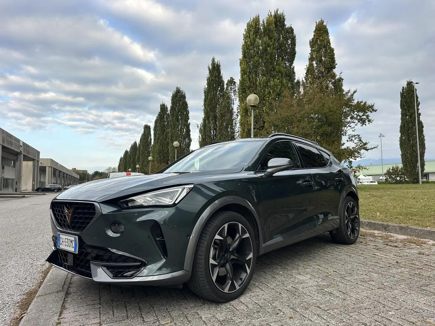 CUPRA Formentor 2.0 TSI 4DRIVE TETTO PANORAMICO Verde - 1