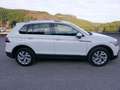 Volkswagen Tiguan Elegance 4Motion LED DSG APPCONNECT 8 fach bereift Weiß - thumbnail 3