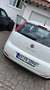 Fiat Punto Punto 1.2 8V Classic Weiß - thumbnail 2
