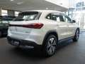Mercedes-Benz EQA 300 4M Progressive,LED,Totw,Kam,EasyP,SitzHz Weiß - thumbnail 6