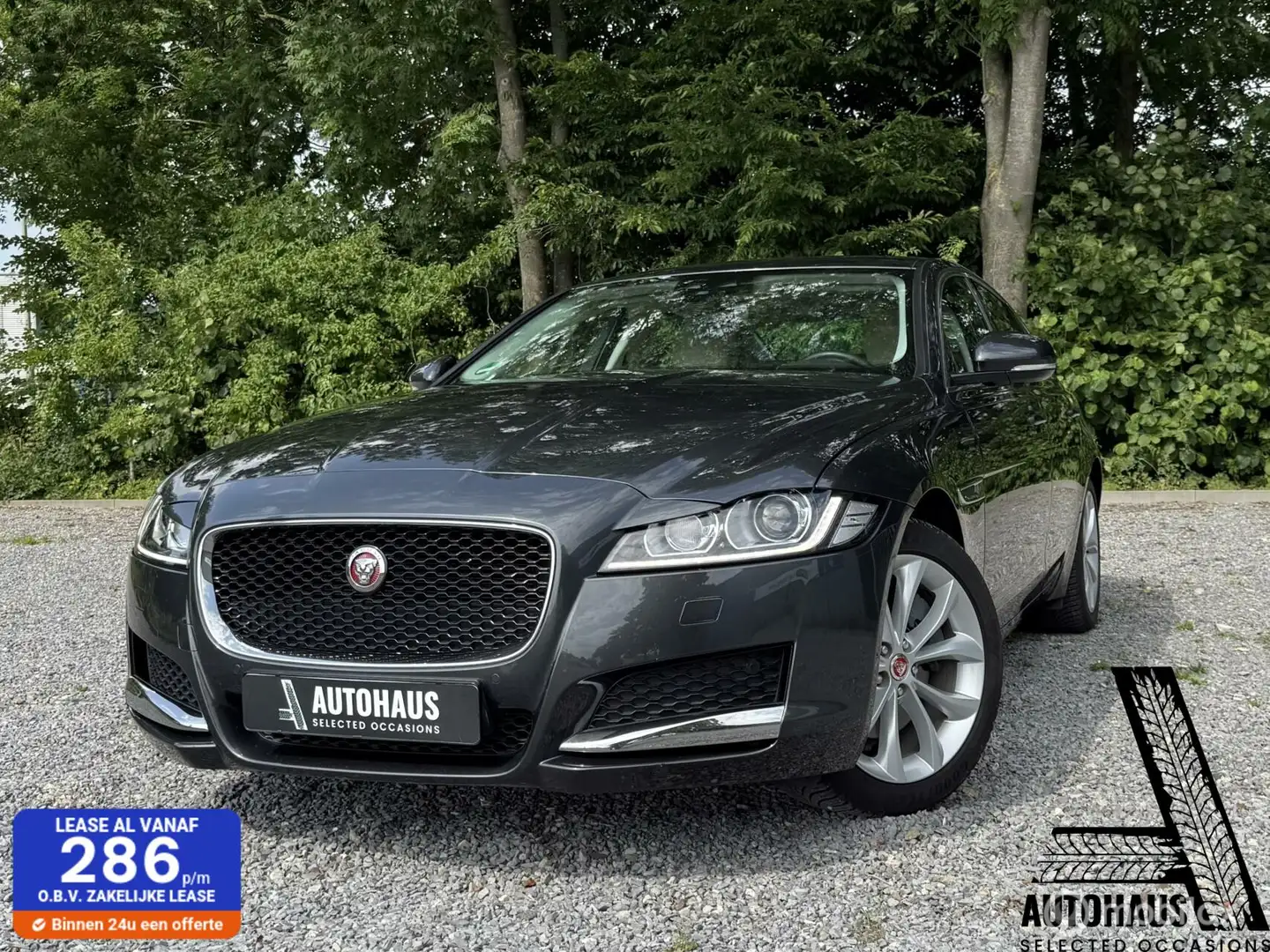 Jaguar XF 2.0d Prestige NAP 100% Dealeronderhouden 1eigenaa Gris - 1