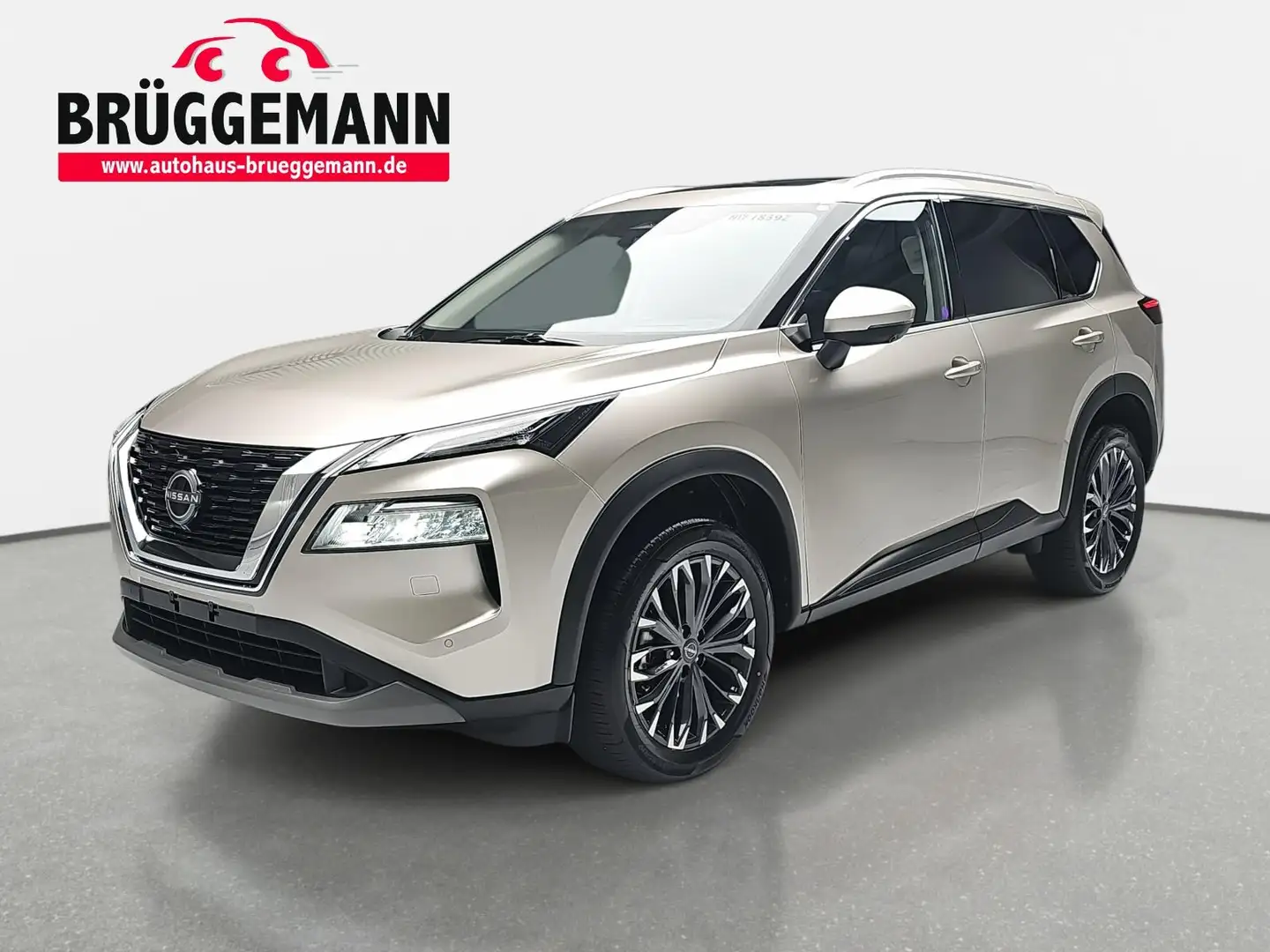 Nissan X-Trail X-TRAIL 1.5 VC-T MHEV AUTO. N-CONNECTA PANORAMA 19 Argintiu - 1