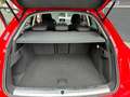 Audi Q3 2.0 TDI QUATTRO*EXCLUSIVE*AHK*PDC*ZAHNRIEMEN NEU* Rot - thumbnail 19
