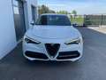 Alfa Romeo Stelvio Super Q4 Weiß - thumbnail 2