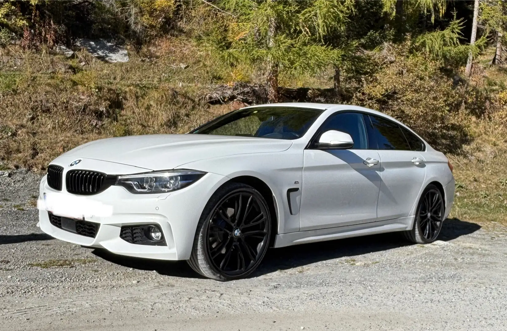 BMW 420 420d GC Aut. xDrive Weiß - 1