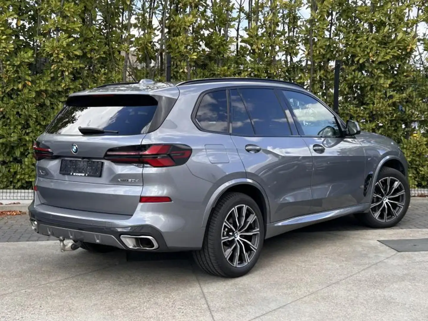 BMW X5 xD30d Gris - 2