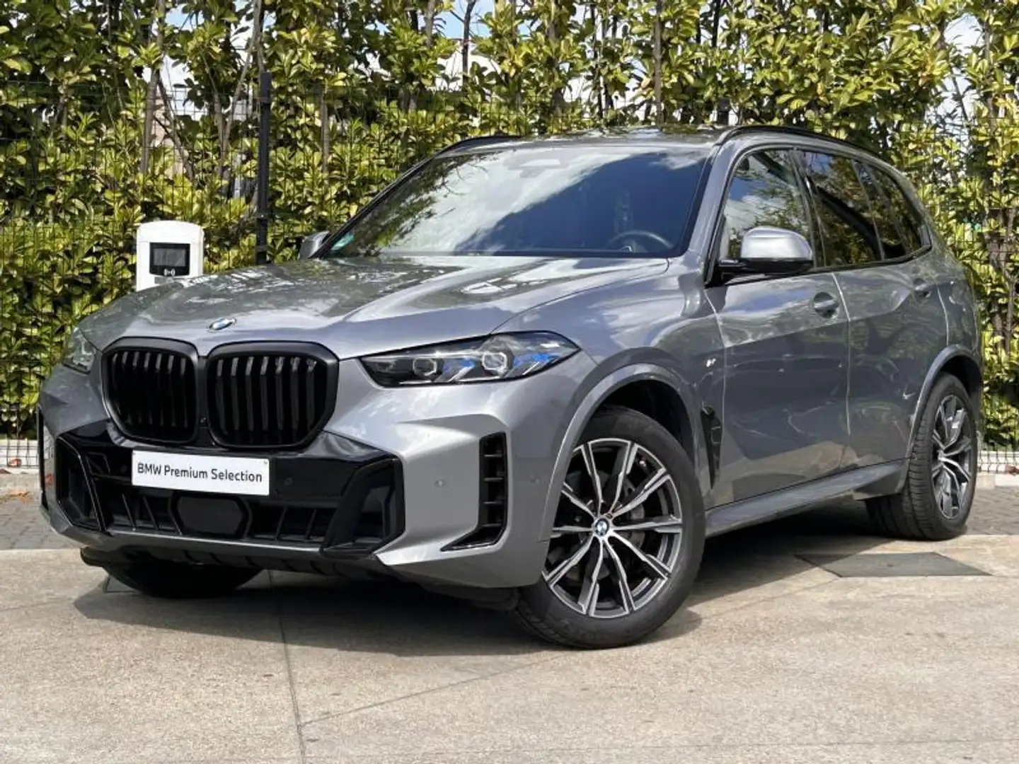 BMW X5 xD30d Gris - 1