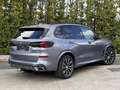 BMW X5 xD30d Gris - thumbnail 25