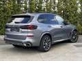 BMW X5 xD30d Gris - thumbnail 29
