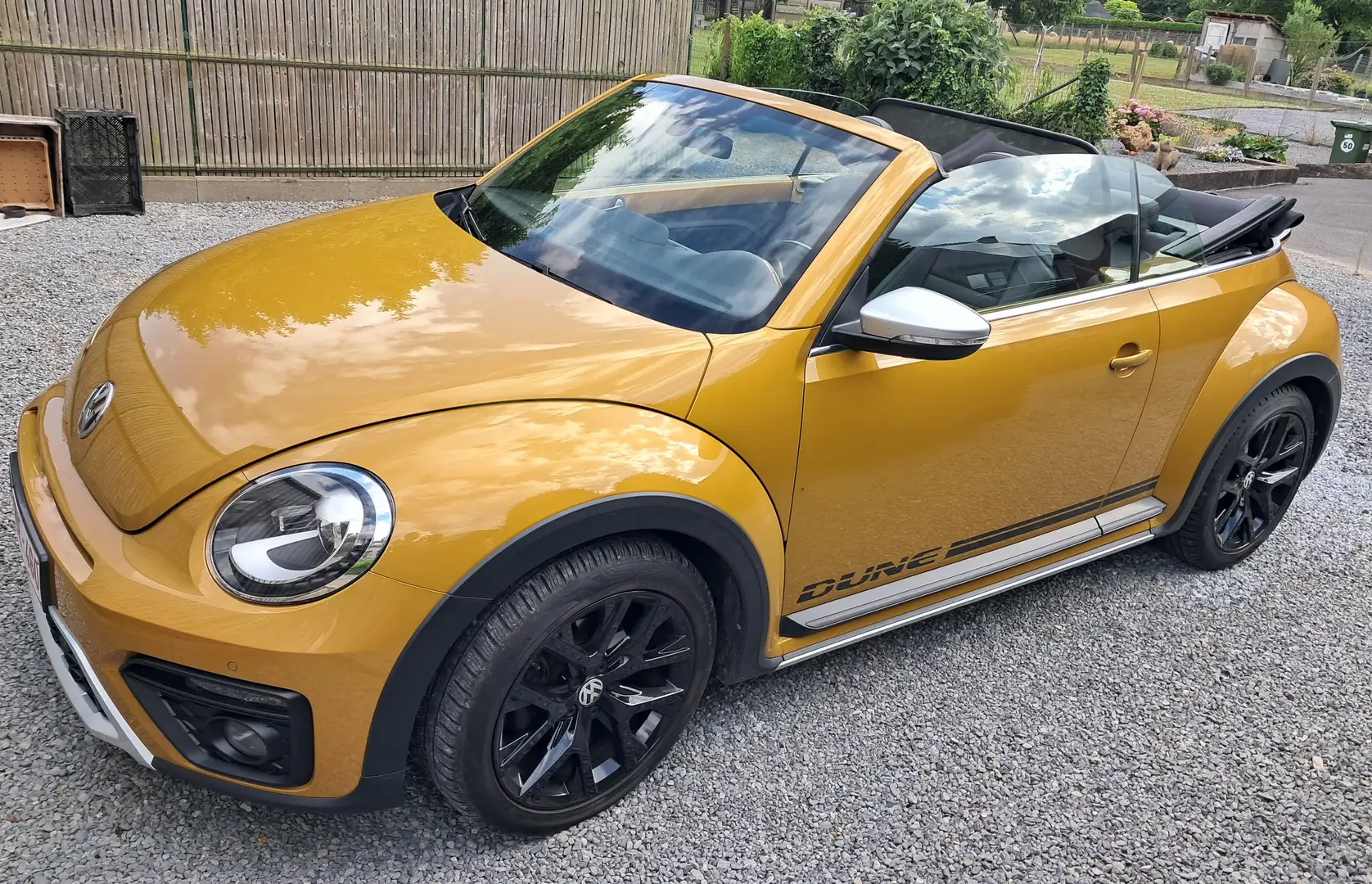 Volkswagen Beetle The Beetle Cabriolet 2.0 TDI Dune Altın - 1