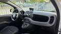 Fiat Panda 1.0 firefly hybrid Cross s&s 70cv BURATTI PREMIUM - thumbnail 14