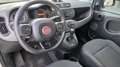 Fiat Panda 1.0 firefly hybrid Cross s&s 70cv BURATTI PREMIUM - thumbnail 13