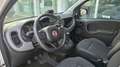 Fiat Panda 1.0 firefly hybrid Cross s&s 70cv BURATTI PREMIUM - thumbnail 8