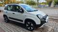 Fiat Panda 1.0 firefly hybrid Cross s&s 70cv BURATTI PREMIUM - thumbnail 5