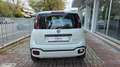 Fiat Panda 1.0 firefly hybrid Cross s&s 70cv BURATTI PREMIUM - thumbnail 3