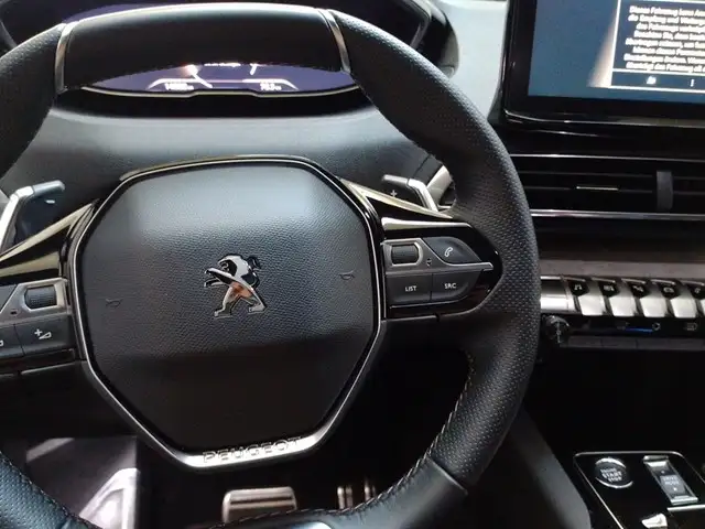Peugeot 3008 view 10