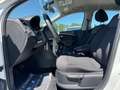 Volkswagen Polo V Comfortline BMT/Start-Stopp++1.Hand++ Weiß - thumbnail 18