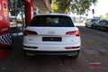 Audi Q5 40 TDI quattro-ultra S line S tronic 150kW Blanco - thumbnail 45