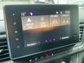 Renault Trafic Combi 2.0 BLUE dCi 150 L2H1 3.0t (8/9 Sitzer) Life Schwarz - thumbnail 17
