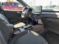 Ford Kuga ST-Line,LED,Sitzh,Kamera,Spurhalte,PDC, Noir - thumbnail 10