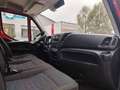 Iveco DAILY   35S 14 2.3 Bianco - thumbnail 11