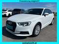 Audi A3 SB 1,5 TFSI COD ultra intense Weiß - thumbnail 1