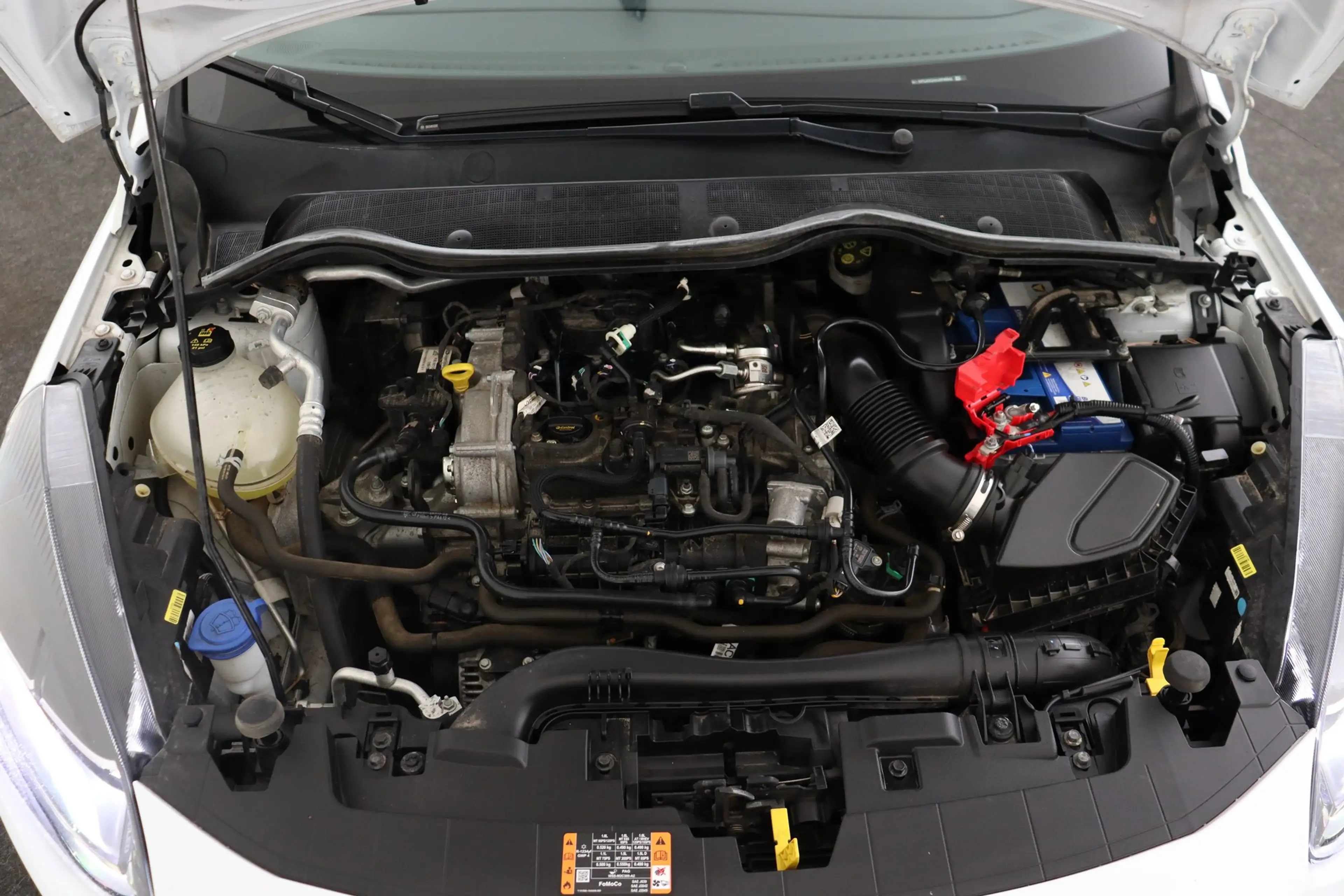 Ford Fiesta 1.0 MHEV TITANIUM + PDC + CRUISE — photo 14