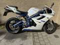 Triumph Daytona 675 - thumbnail 4