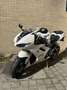Triumph Daytona 675 - thumbnail 2