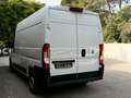 Fiat Ducato DDUCATO L2H2 2.3 MJT 120 PACK -16 990? TTC- Bianco - thumbnail 16